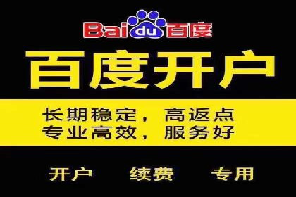 案例解析：百度广告竞价助力企业实现快速扩张